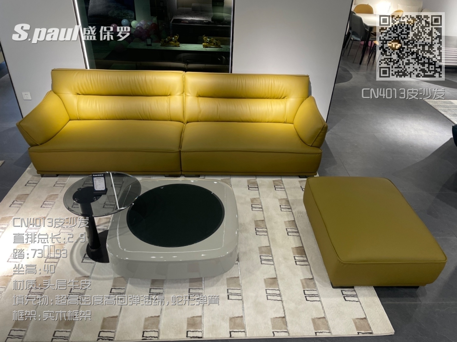CN4013皮沙发 CN4013皮沙发