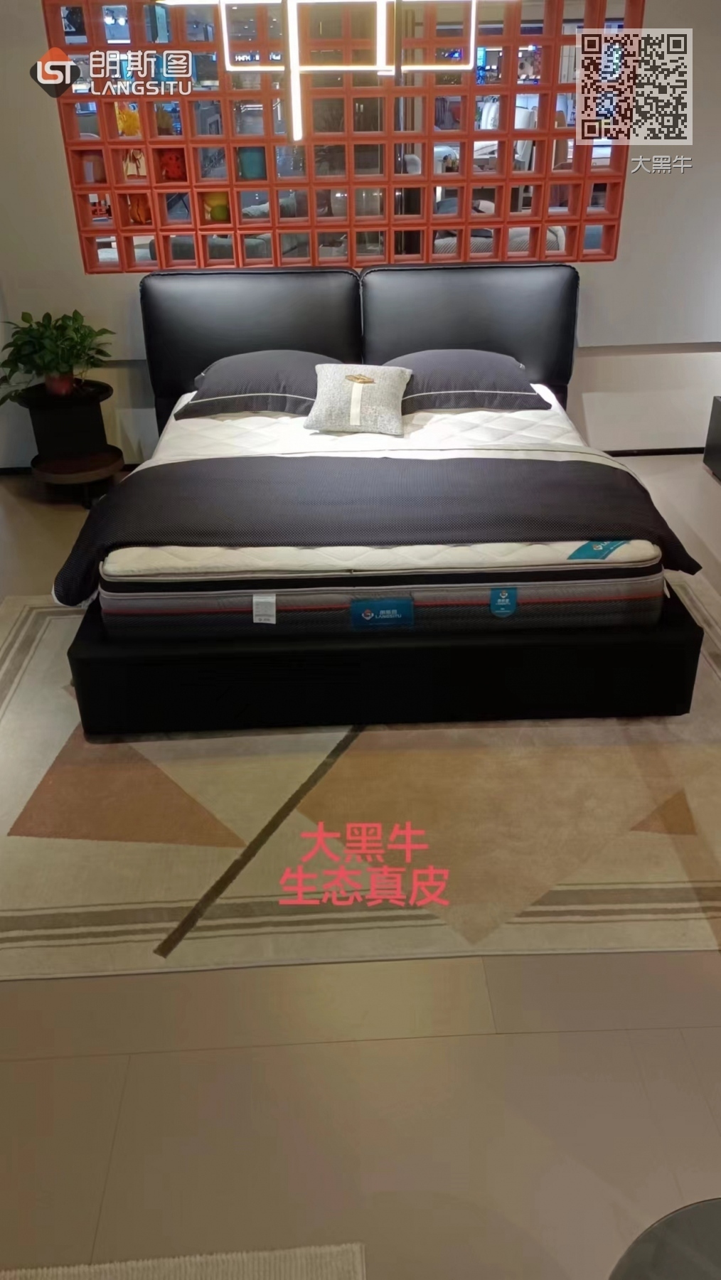大黑牛 大黑牛