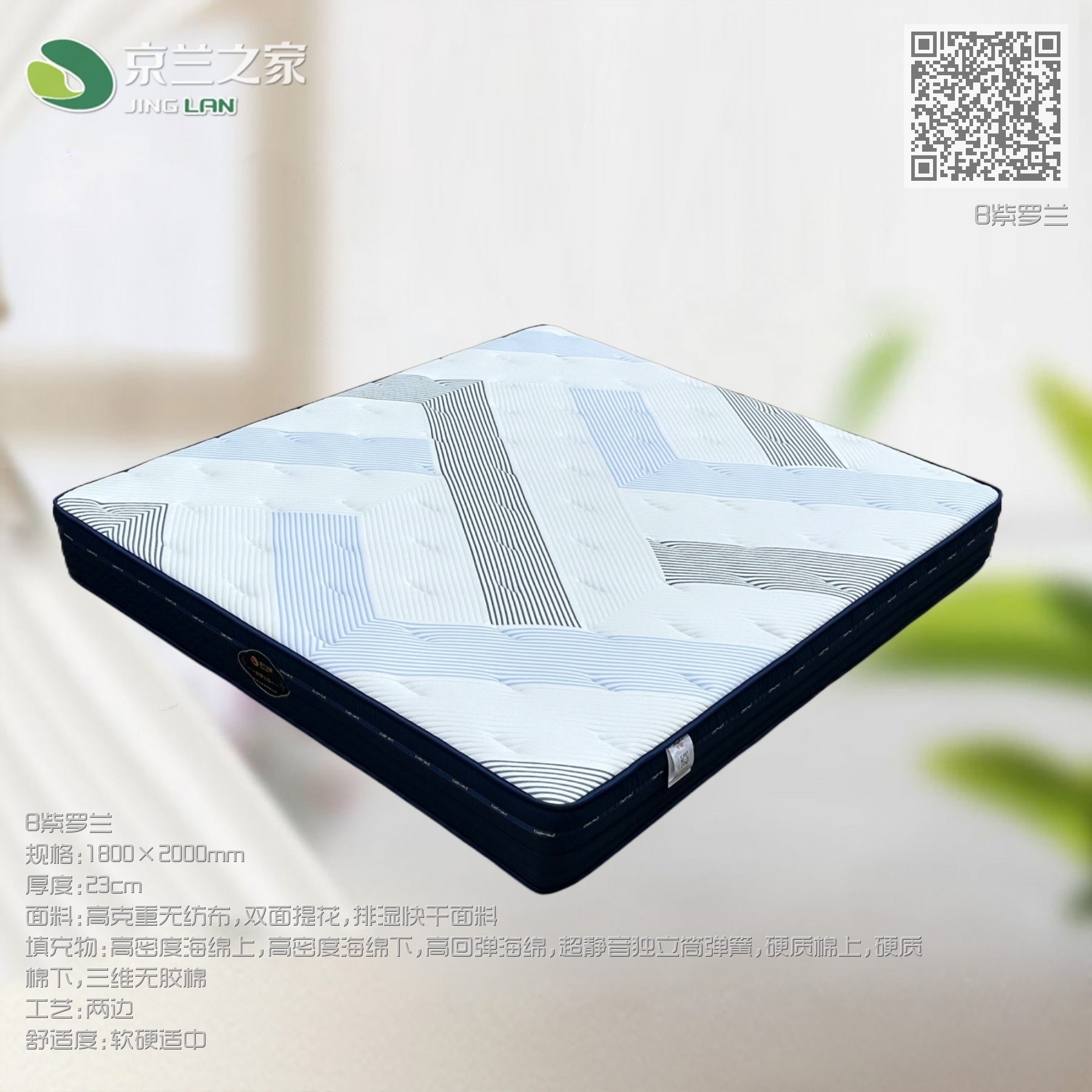 B新款紫罗兰
