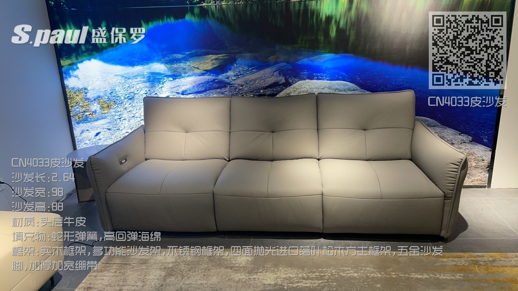 CN4033皮沙发 CN4033皮沙发