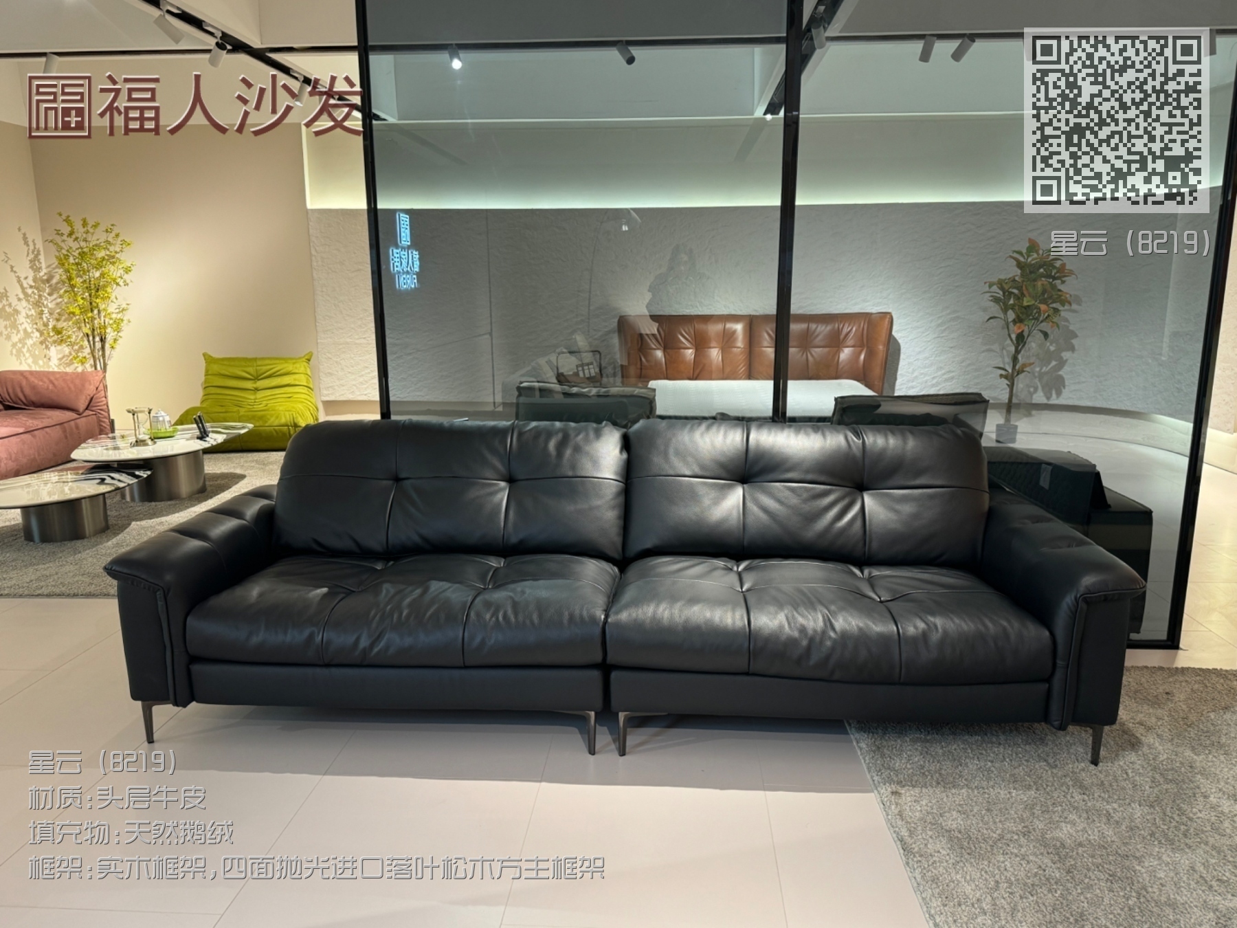 星云(8219) 星云(8219)