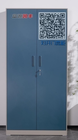 对开门高柜