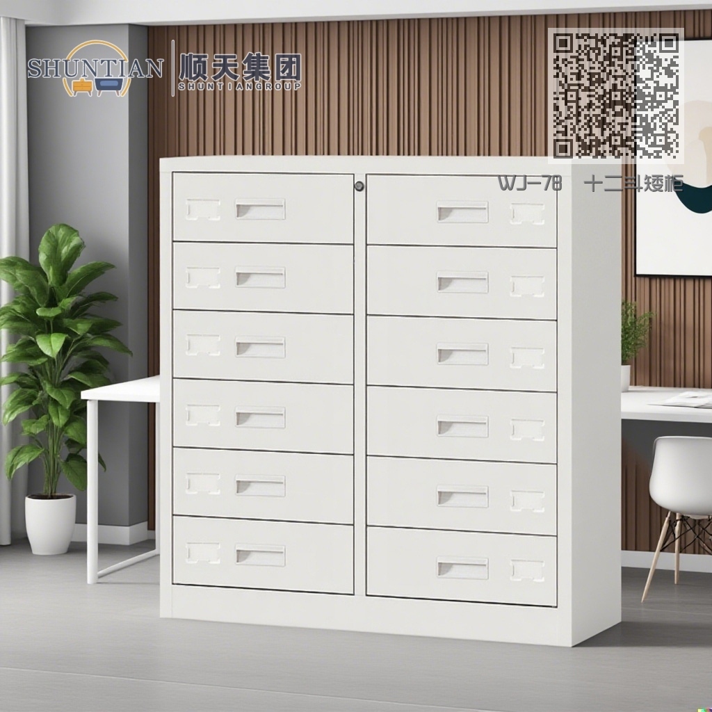 WJ-78 十二斗矮柜 WJ-78 十二斗矮柜