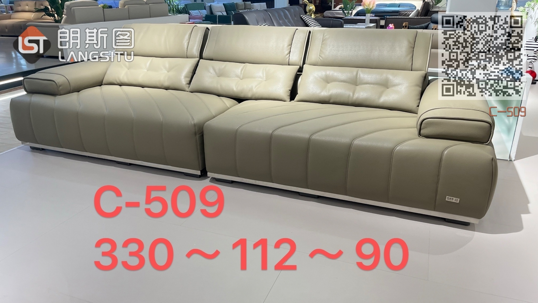 C-509