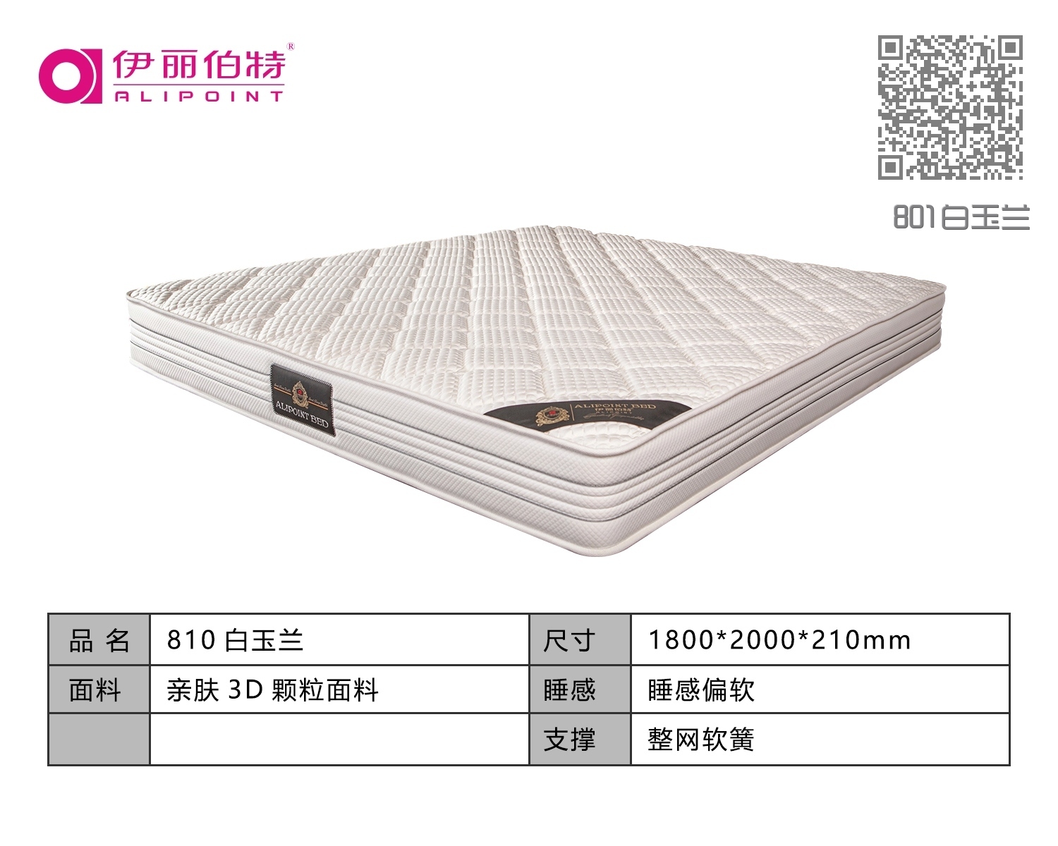 801白玉兰