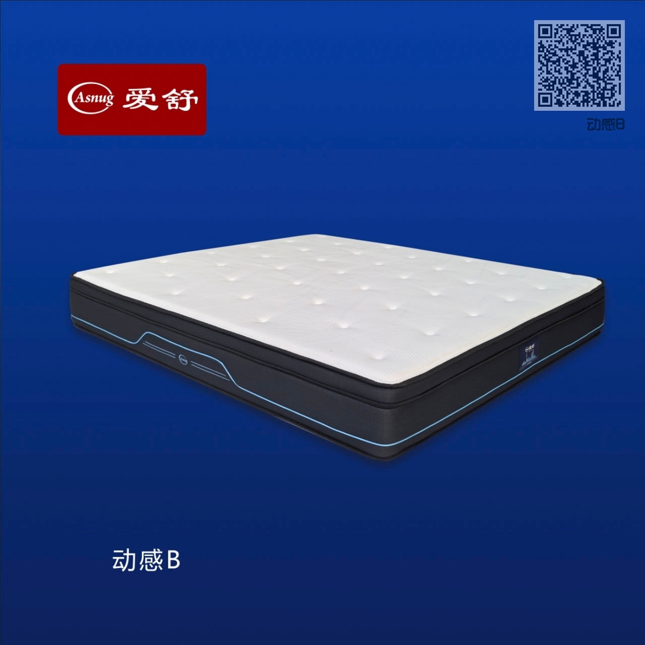 动感B