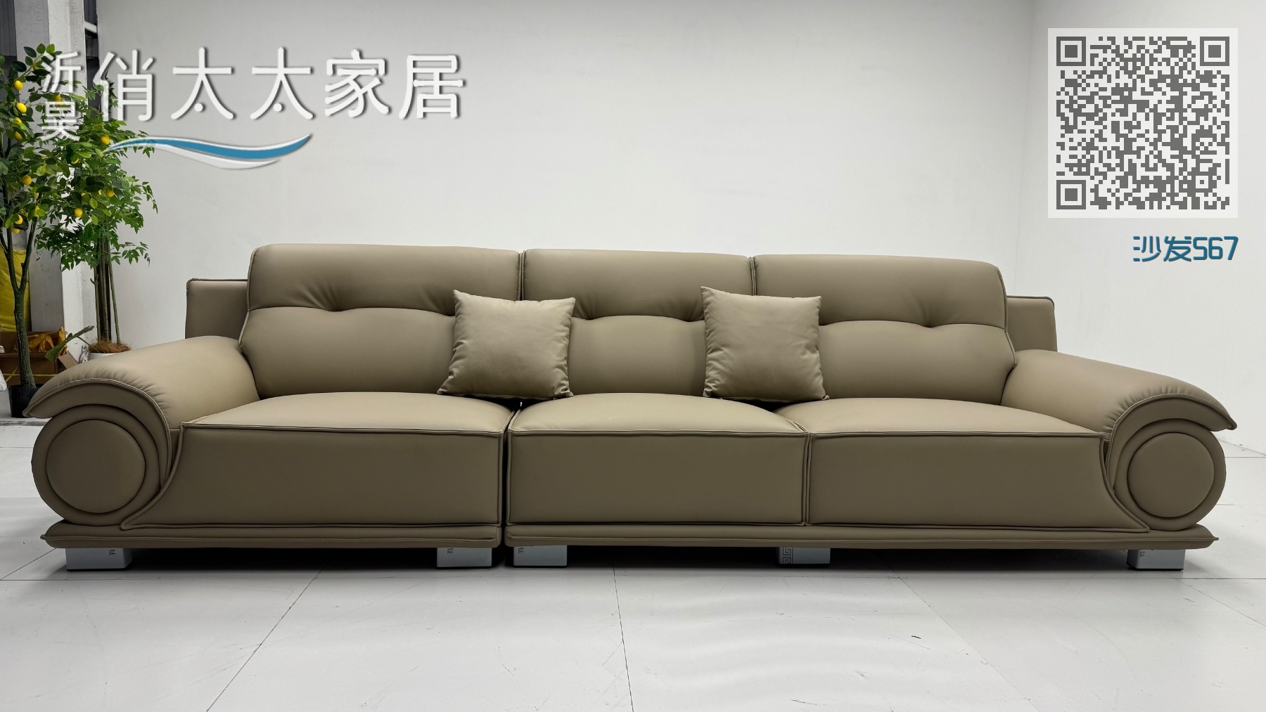 沙发567 沙发567