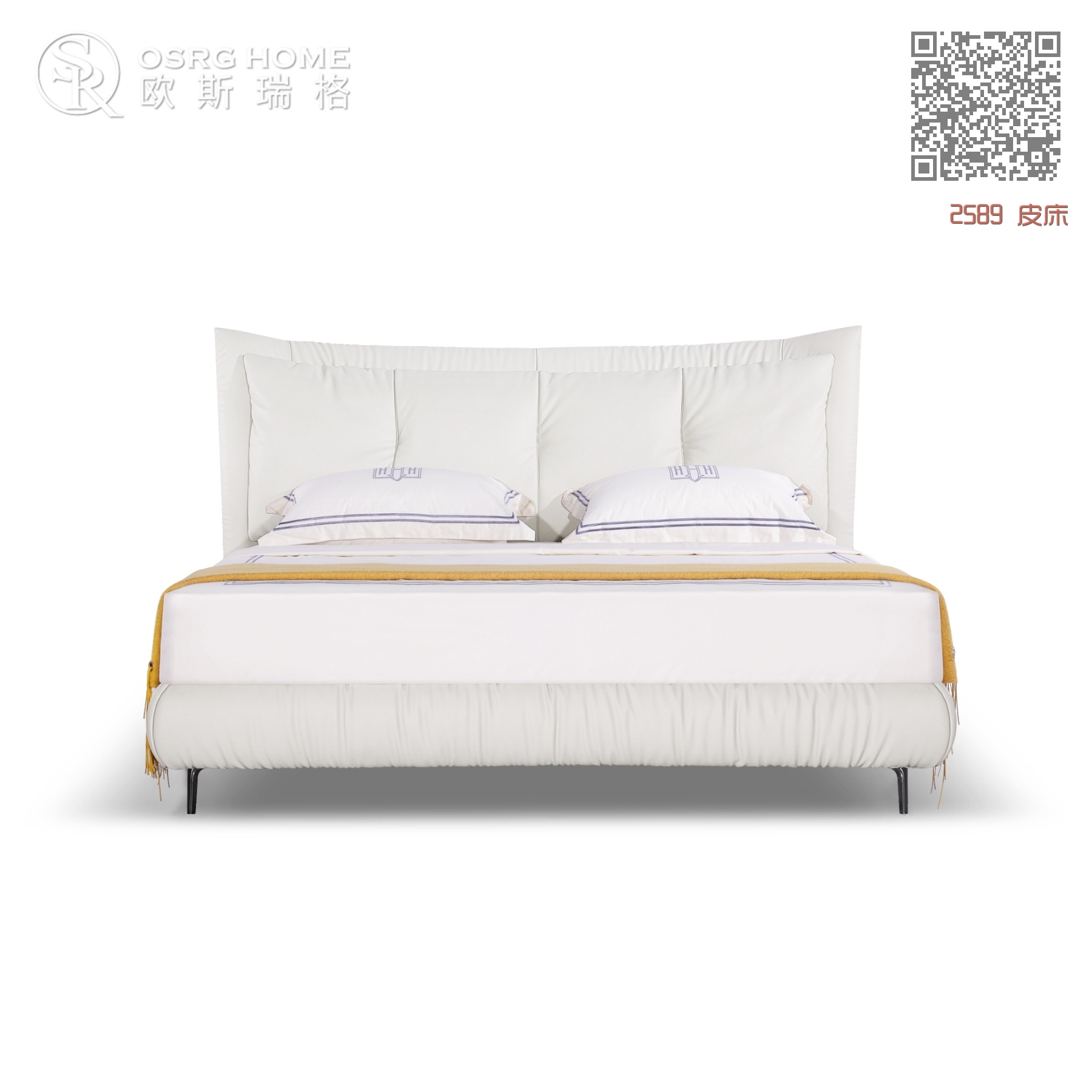 2589 皮床