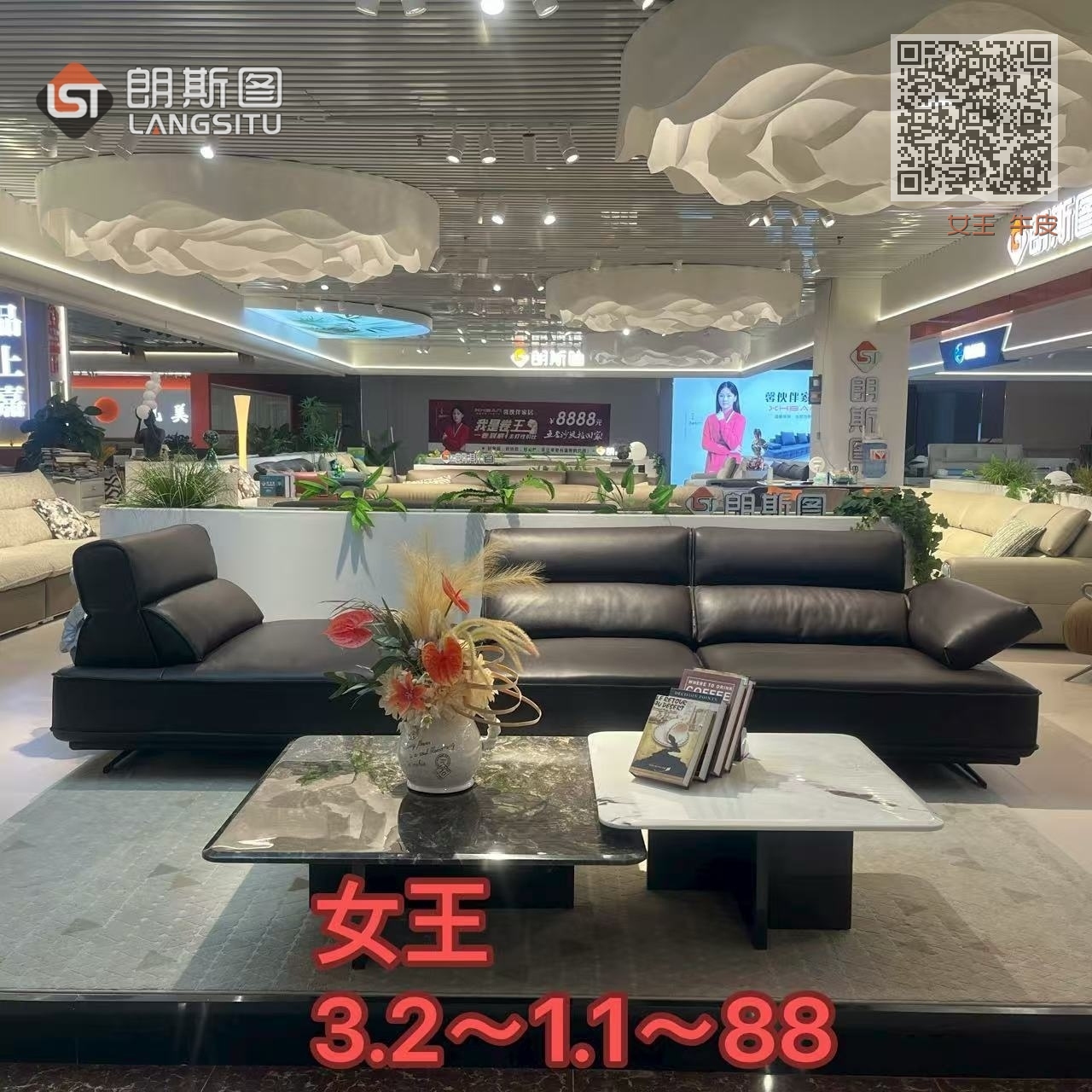 女王 牛皮