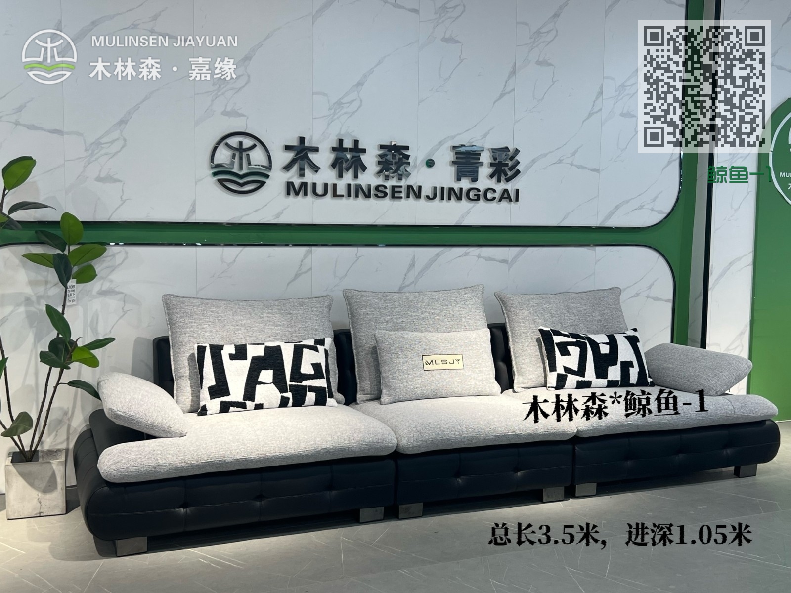 鲸鱼-1 鲸鱼-1