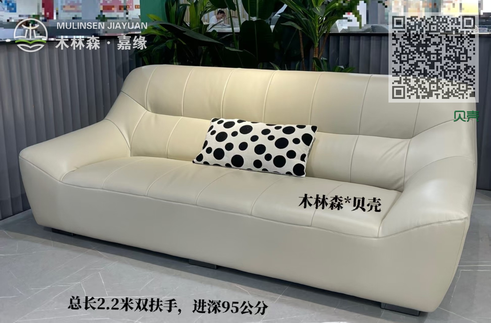 贝壳 贝壳