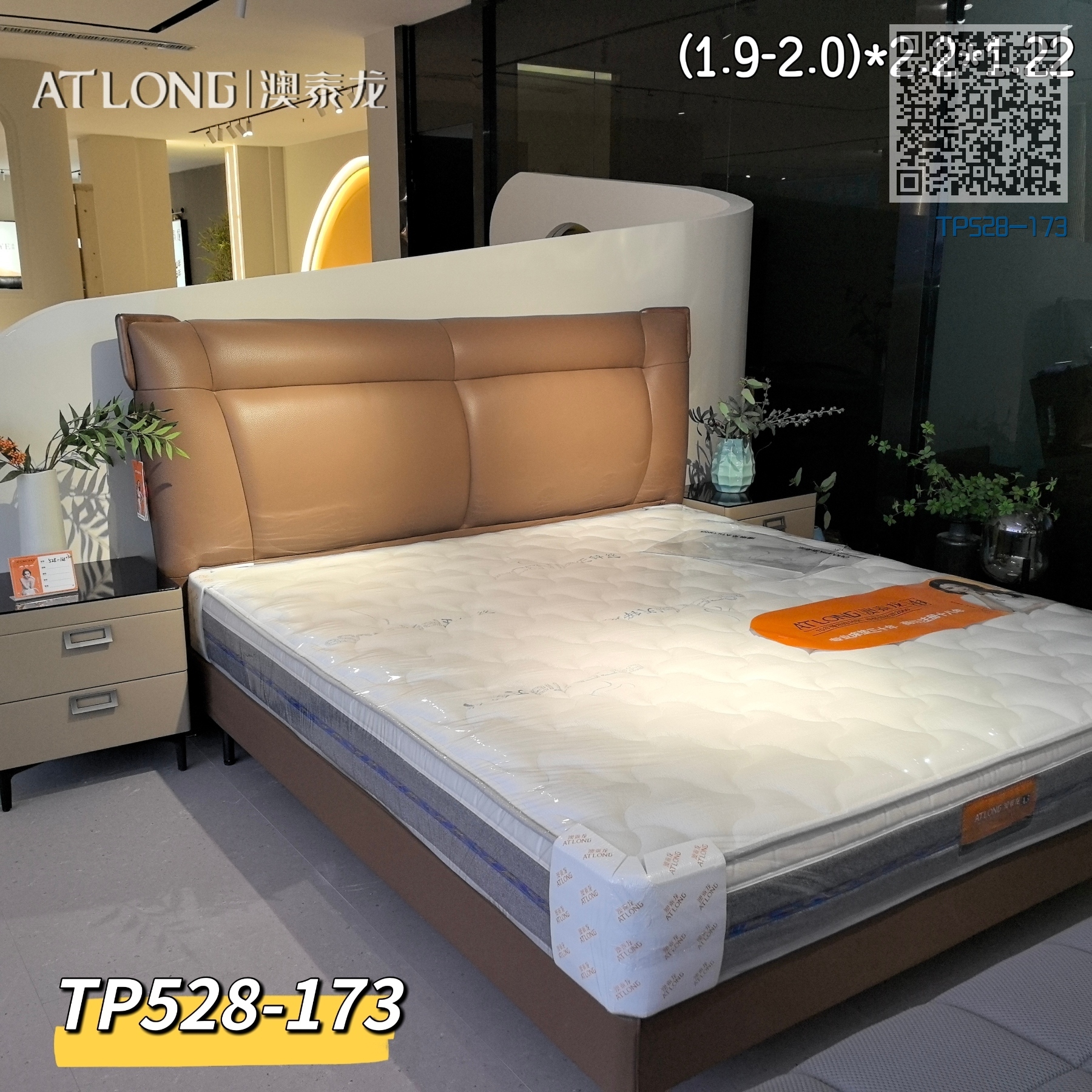 TP528-173