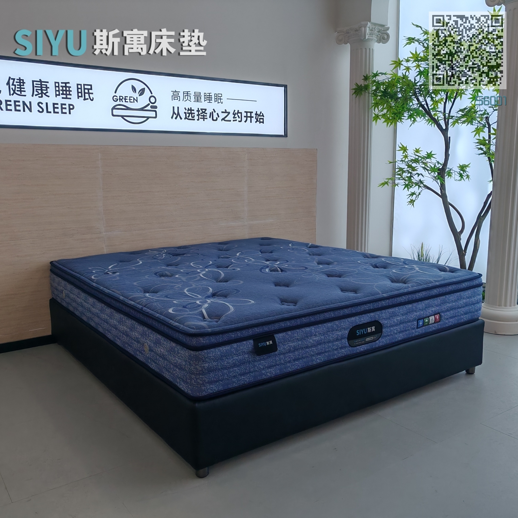 S6001 S6001