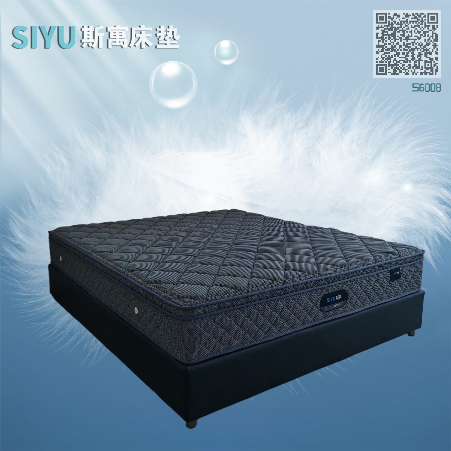 S6008
