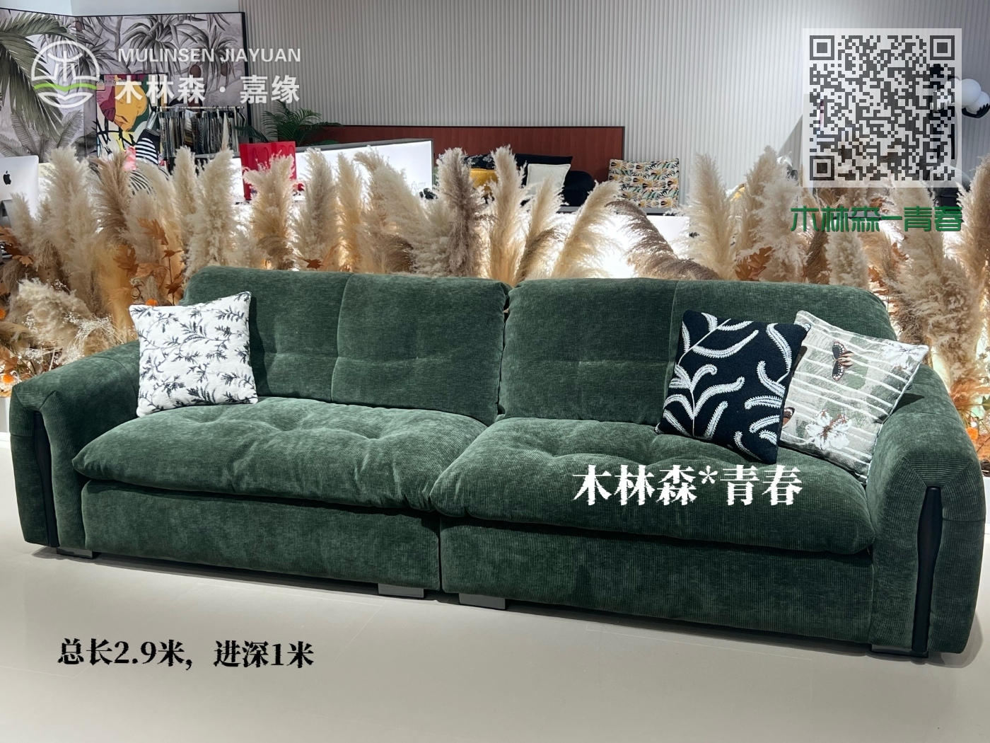 木林森-青春 木林森-青春