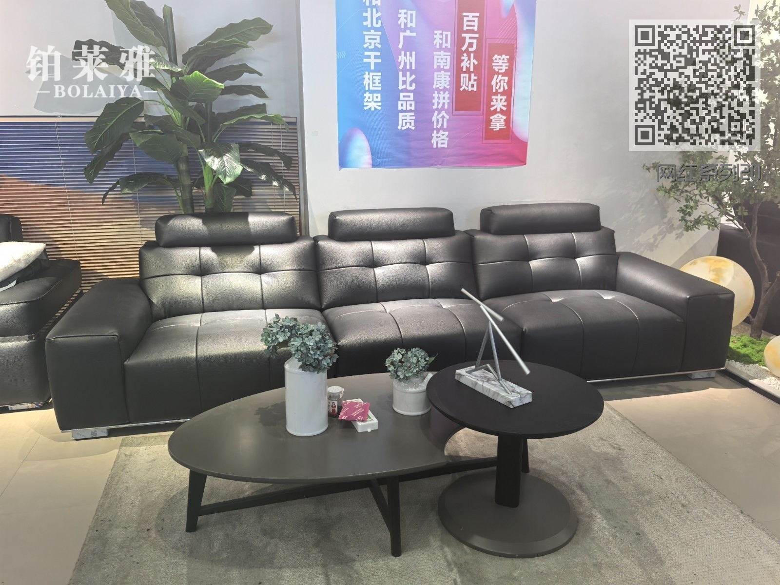 网红系列20