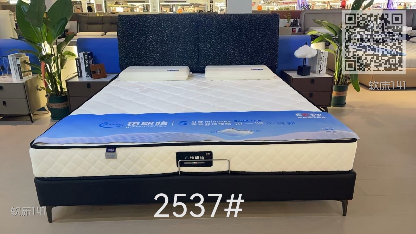 软床141