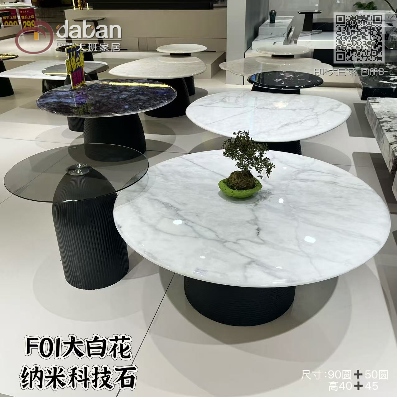 F01大白花 图册B