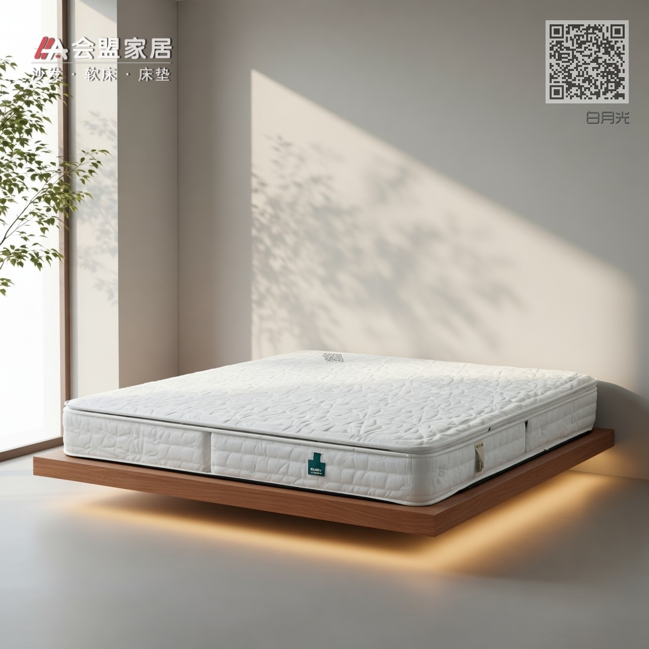 白月光 白月光