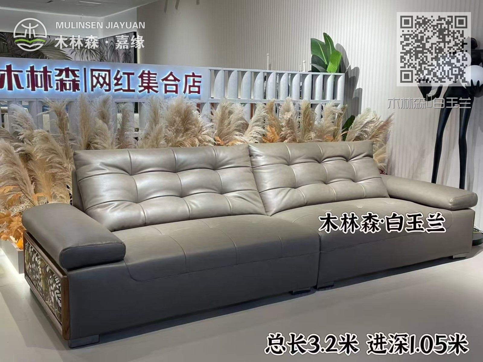 木林森·白玉兰