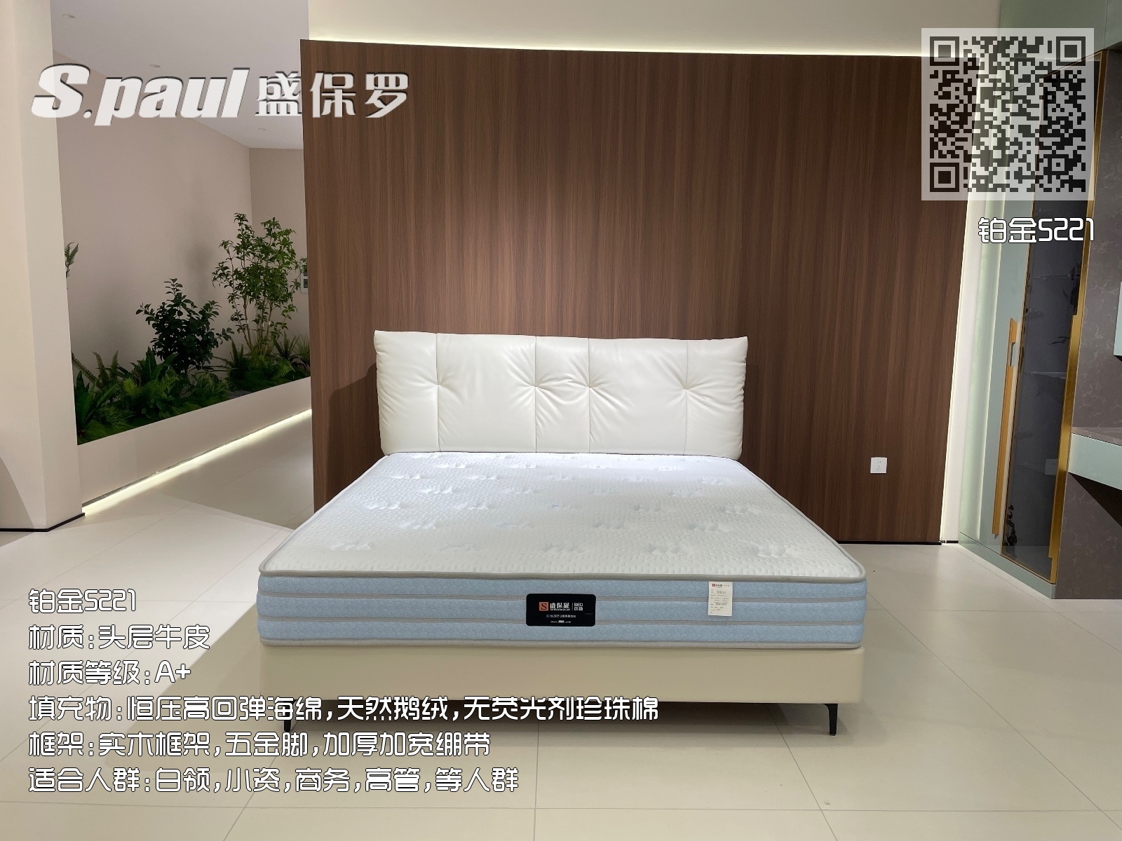 铂金5221 铂金5221