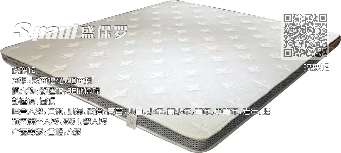 玫瑰12