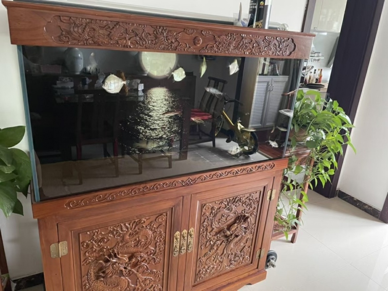 鱼缸19