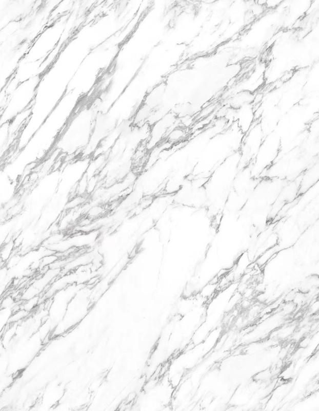 阿尔卑斯雪花白