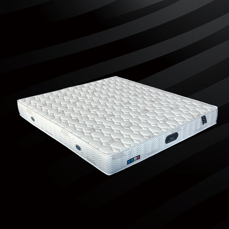 普通型（新款）