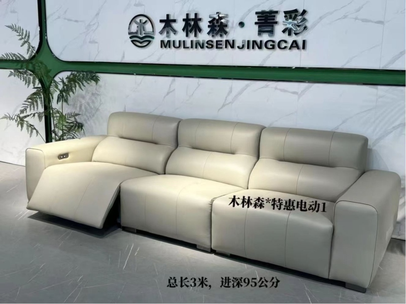 木林森-特惠电动1