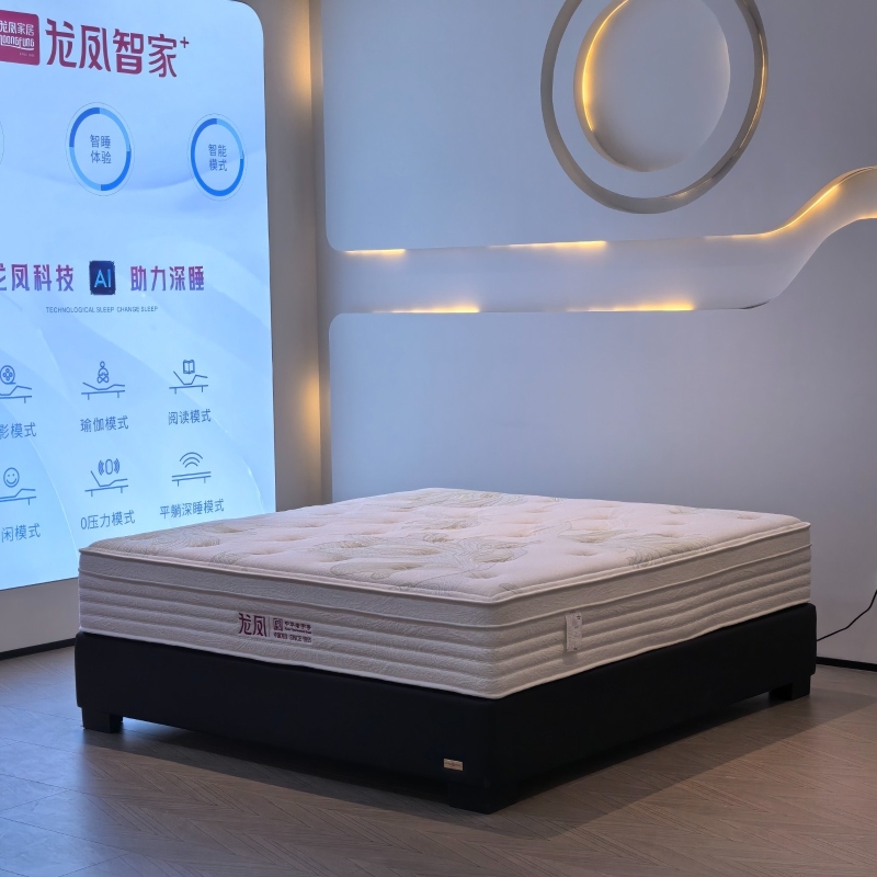 智睿